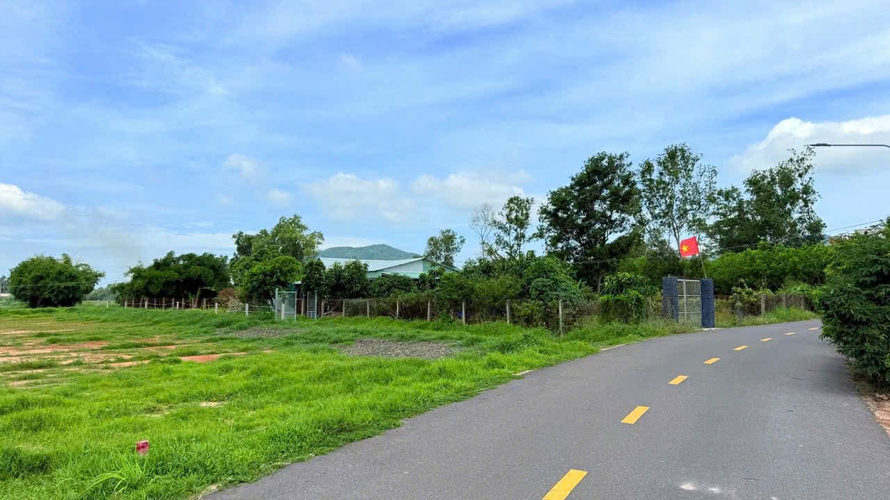 Cần bán Đất đường 44B, Thị trấn Phước Hải, Diện tích 144m², Giá 900 Triệu 4