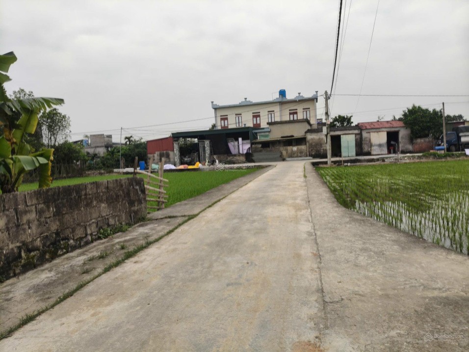 BÁN ĐẤT SƠN ĐỒNG QUỲNH GIAO (NAY LÀ XÃ MINH THỌ, HƯNG YÊN) 4