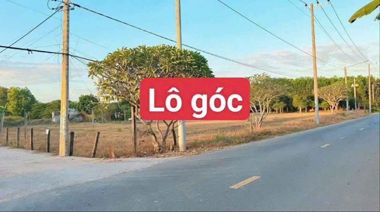 Cần bán Đất đường Tỉnh lộ 44B, Thị trấn Phước Hải, Diện tích 250m², Giá 1.35 Tỷ 2