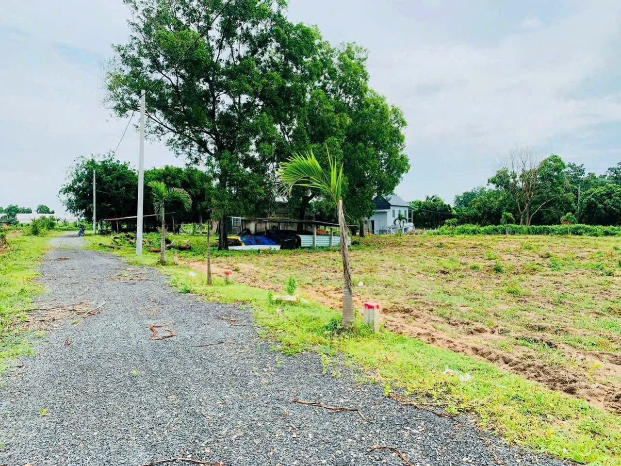 Cần bán Đất đường 44B, Thị trấn Phước Hải, Diện tích 180m², Giá 830 Triệu 5