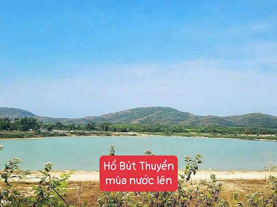 Cần bán Đất đường 44B, Thị trấn Phước Hải, Diện tích 180m², Giá 830 Triệu 3