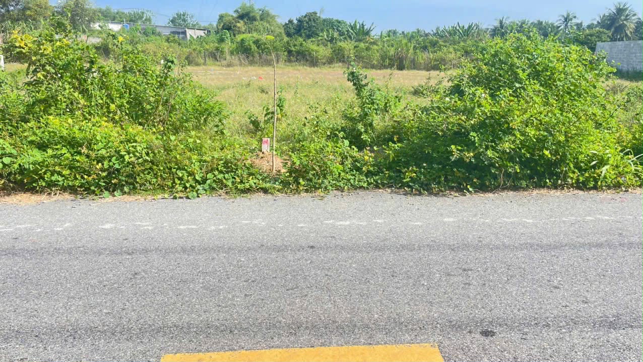 Cần bán Đất đường 44B, Thị trấn Phước Hải, Diện tích 172m², Giá 1.05 Tỷ 5