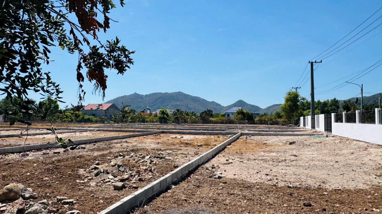 Cần bán Đất đường 44A, Thị trấn Phước Hải, Diện tích 300m², Giá 1.2 Tỷ 6