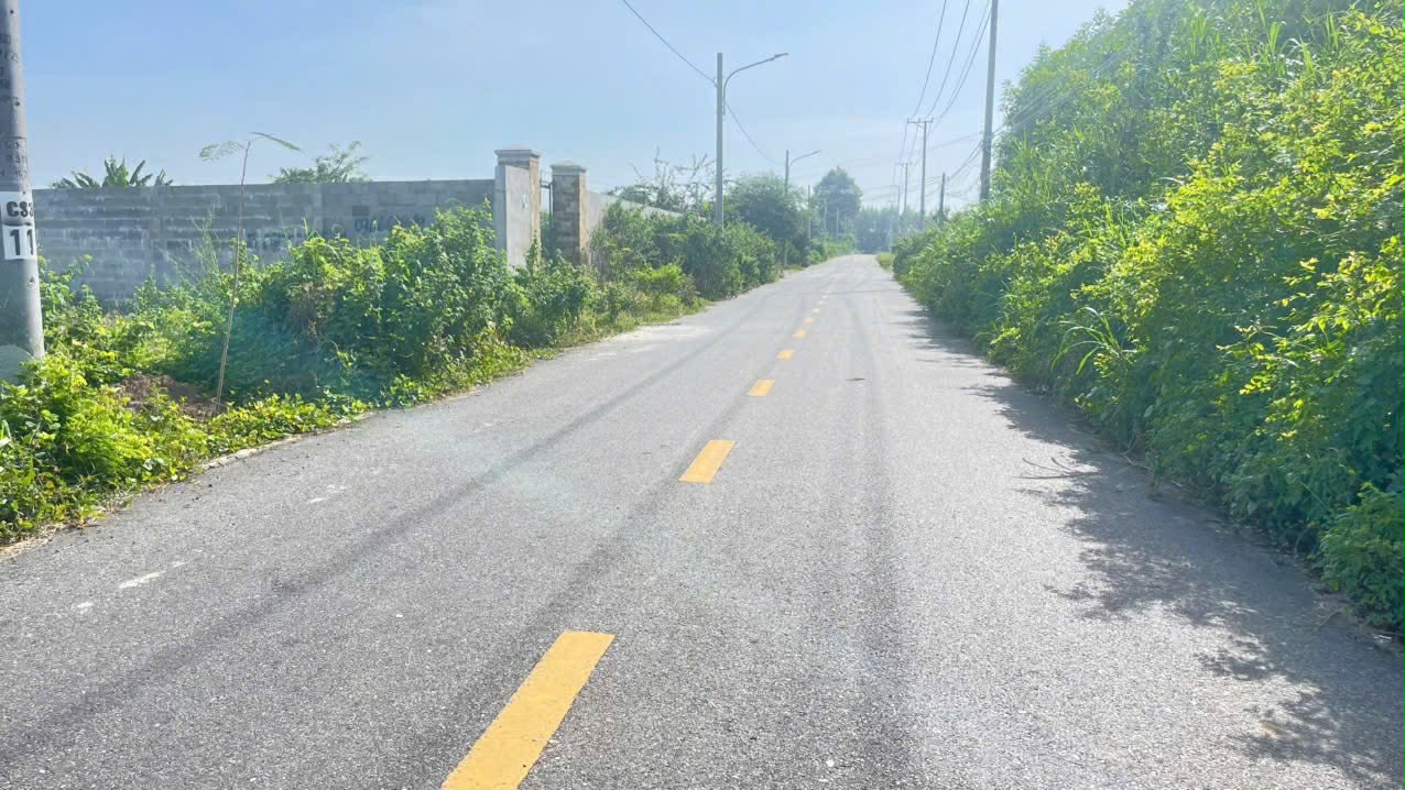 Cần bán Đất đường 44B, Thị trấn Phước Hải, Diện tích 172m², Giá 1.05 Tỷ 4