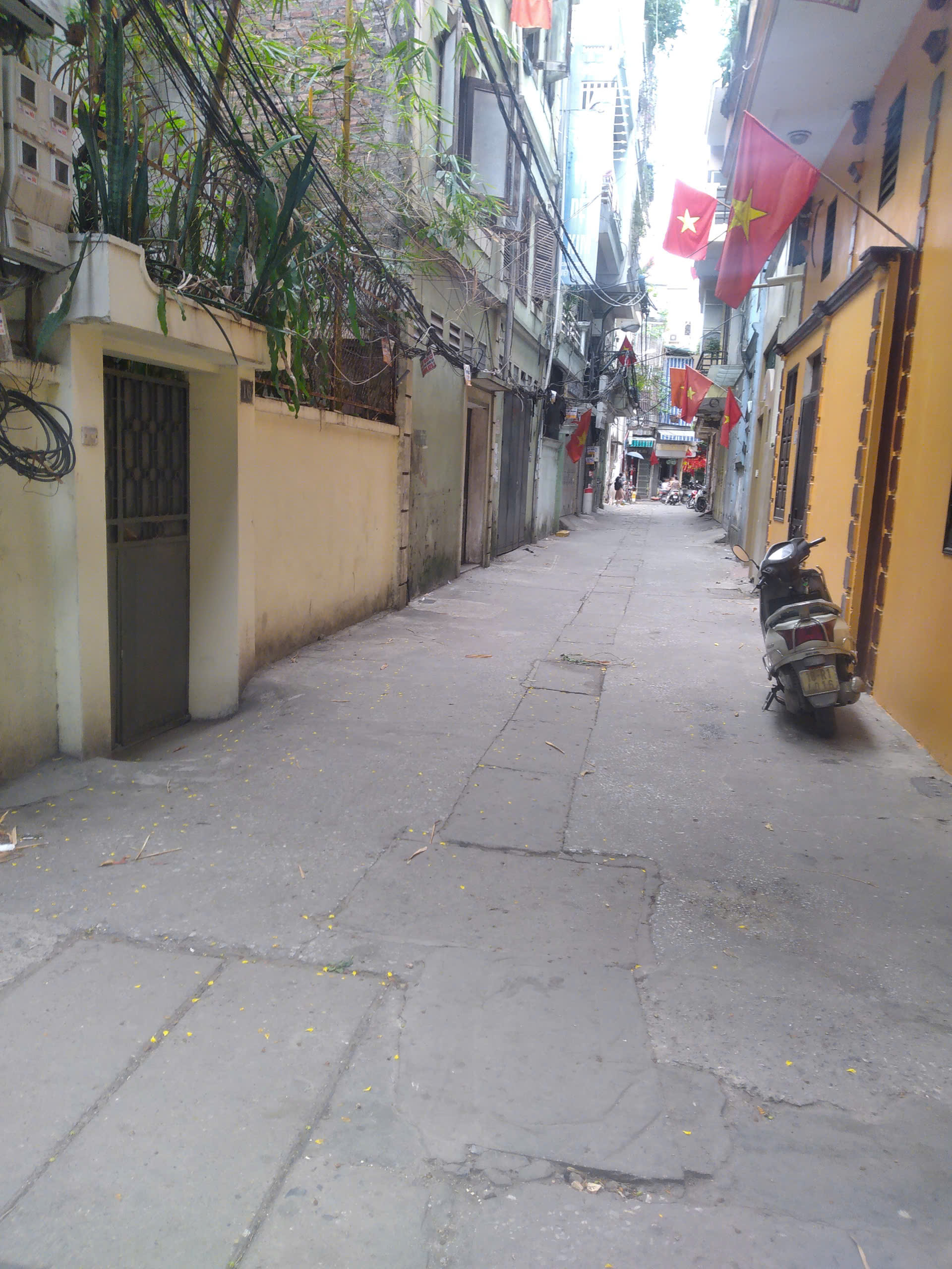 Cần bán Nhà mặt tiền đường Hoàng Mai, Phường Hoàng Văn Thụ, Diện tích 82m², Giá 24 Tỷ