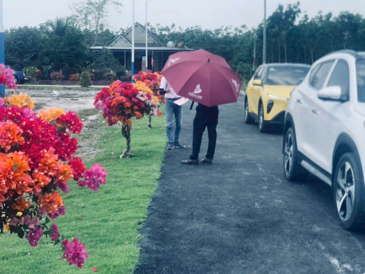 Chỉ 550 triệu – không cần tiền tỷ vẫn mua được đất!