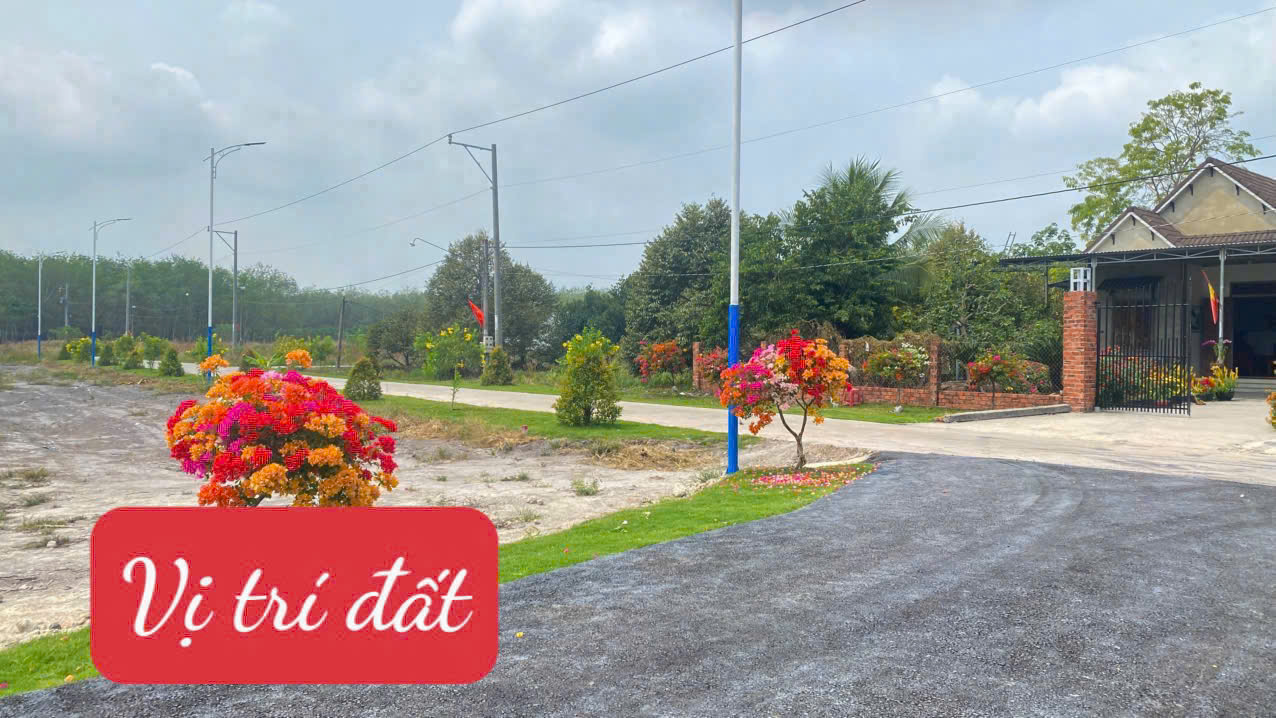 Chỉ 550 triệu – không cần tiền tỷ vẫn mua được đất! 2