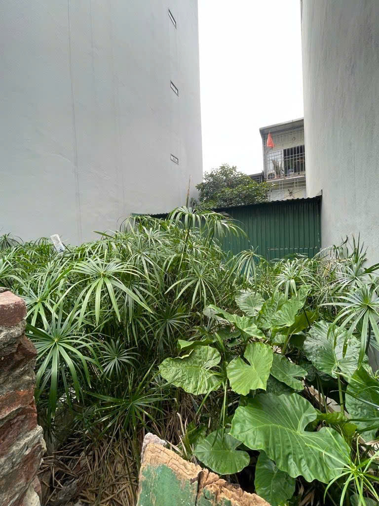 Cần bán Đất đường Vĩnh Hưng, Phường Vĩnh Hưng, Diện tích 56m², Giá 16 Tỷ 4