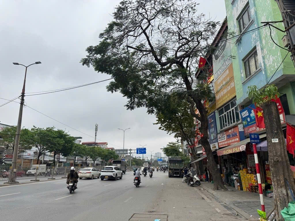 Cần bán Nhà mặt tiền đường Ngọc Hồi, Phường Hoàng Liệt, Diện tích 43m², Giá 15.5 Tỷ 5