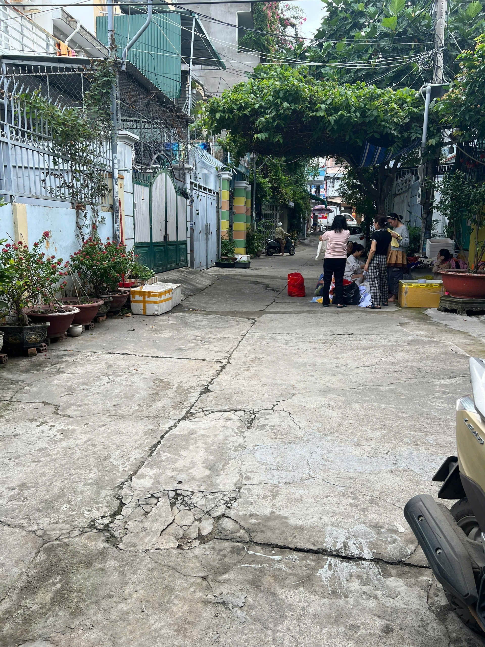 Bán Nhà Phước Hải – Hẻm Ô Tô Rộng 6.5m – Vị Trí Đẹp Gần Lê Hồng Phong 2