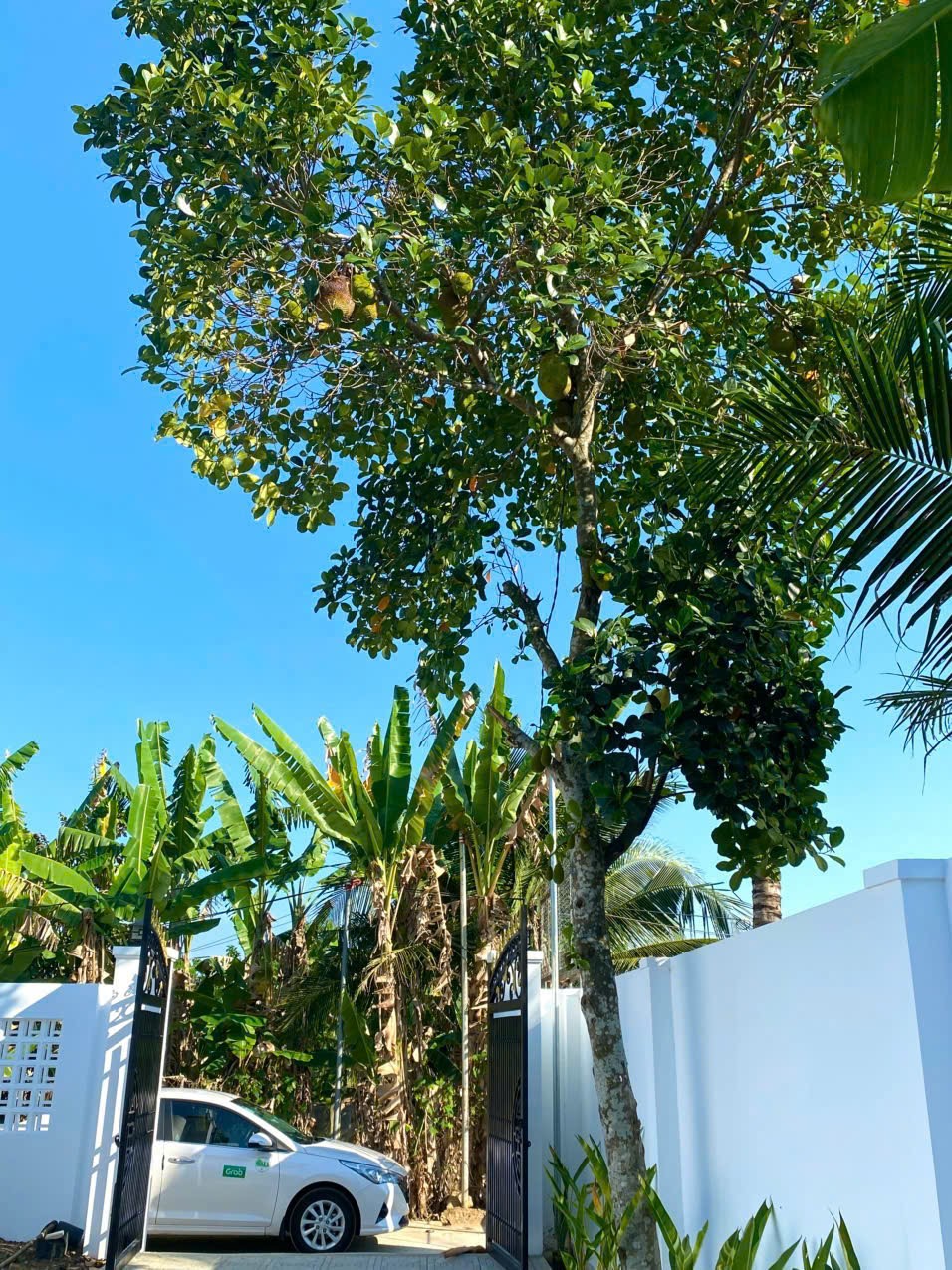 Bán nhà sân vườn Diên Phước - Diên Khánh thiết kế hiện đại kết hợp hài hoà với thiên nhiên 6