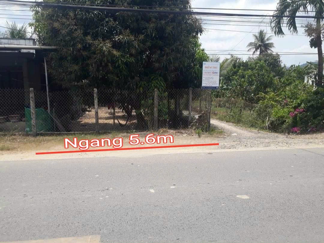 Bán đất mặt tiền Tỉnh Lộ 2 - Diên Thọ ngay khu dân cư sầm uất thôn Lễ Thạnh 2