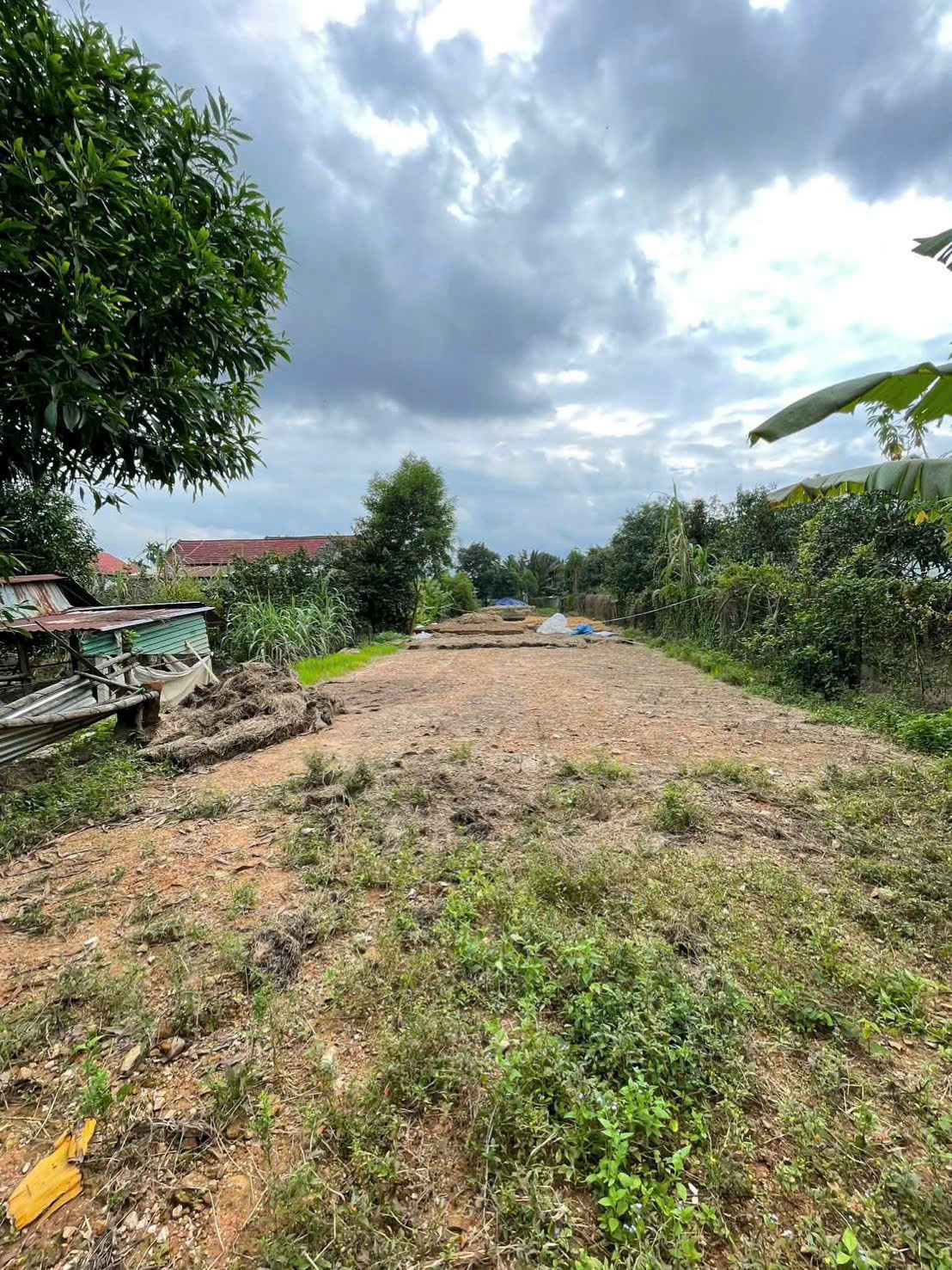 Bán đất Diên Hoà mặt tiền đường nhựa sát bên Hương Lộ 39 - ngã tư Bót Bà Lá 8