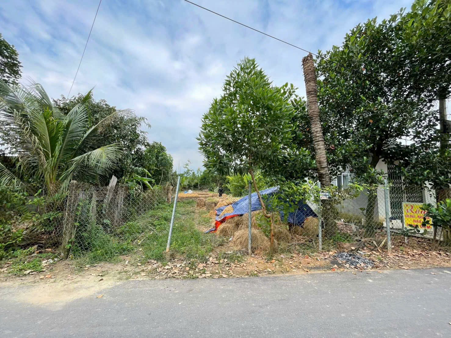 Bán đất Diên Hoà mặt tiền đường nhựa sát bên Hương Lộ 39 - ngã tư Bót Bà Lá 11