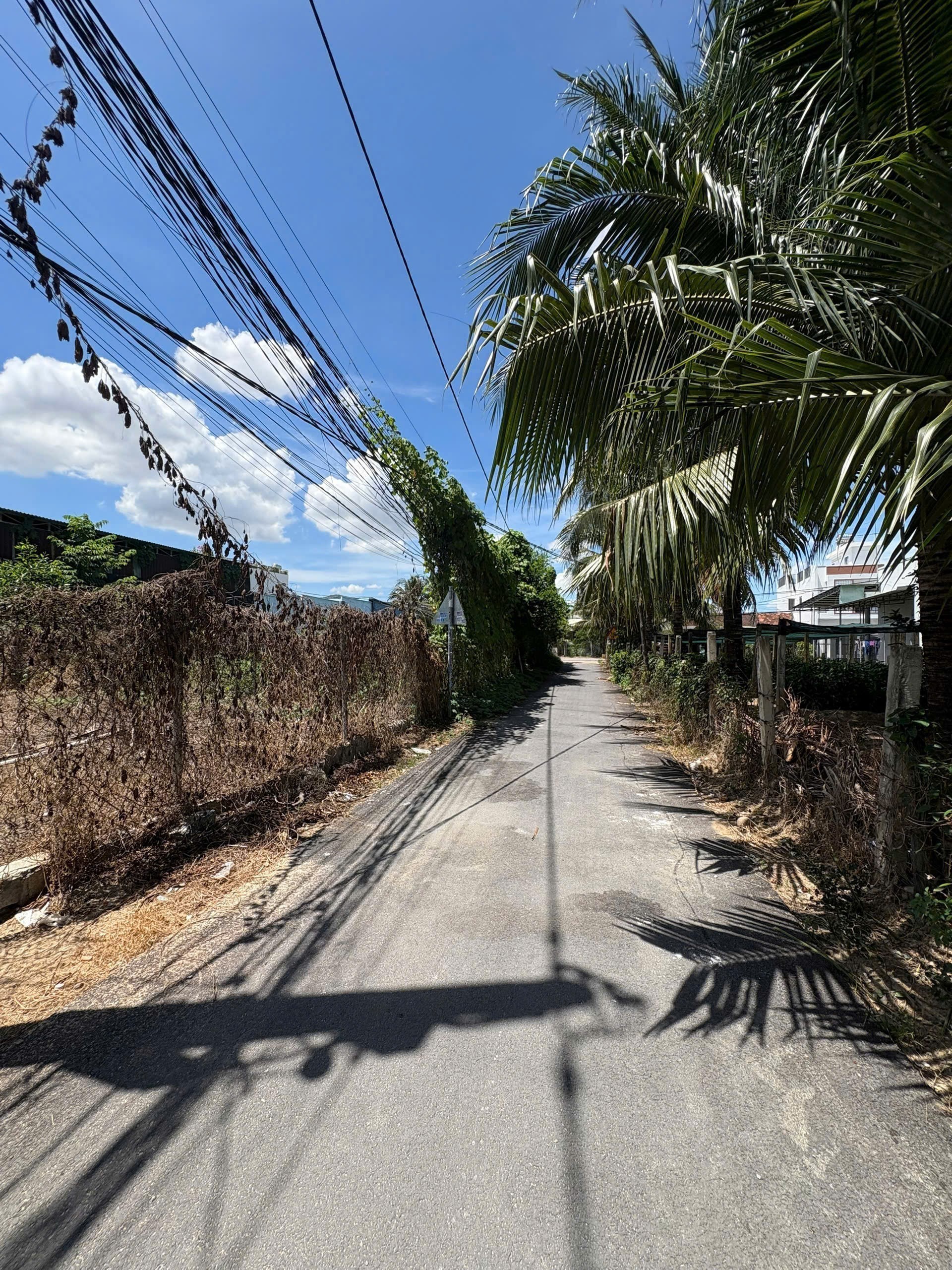 Bán đất Diên Sơn giá rẻ full thổ cư mặt đường Xóm Gò 7 cách chợ chỉ 500m - rộng rãi xây nhà vườn 2