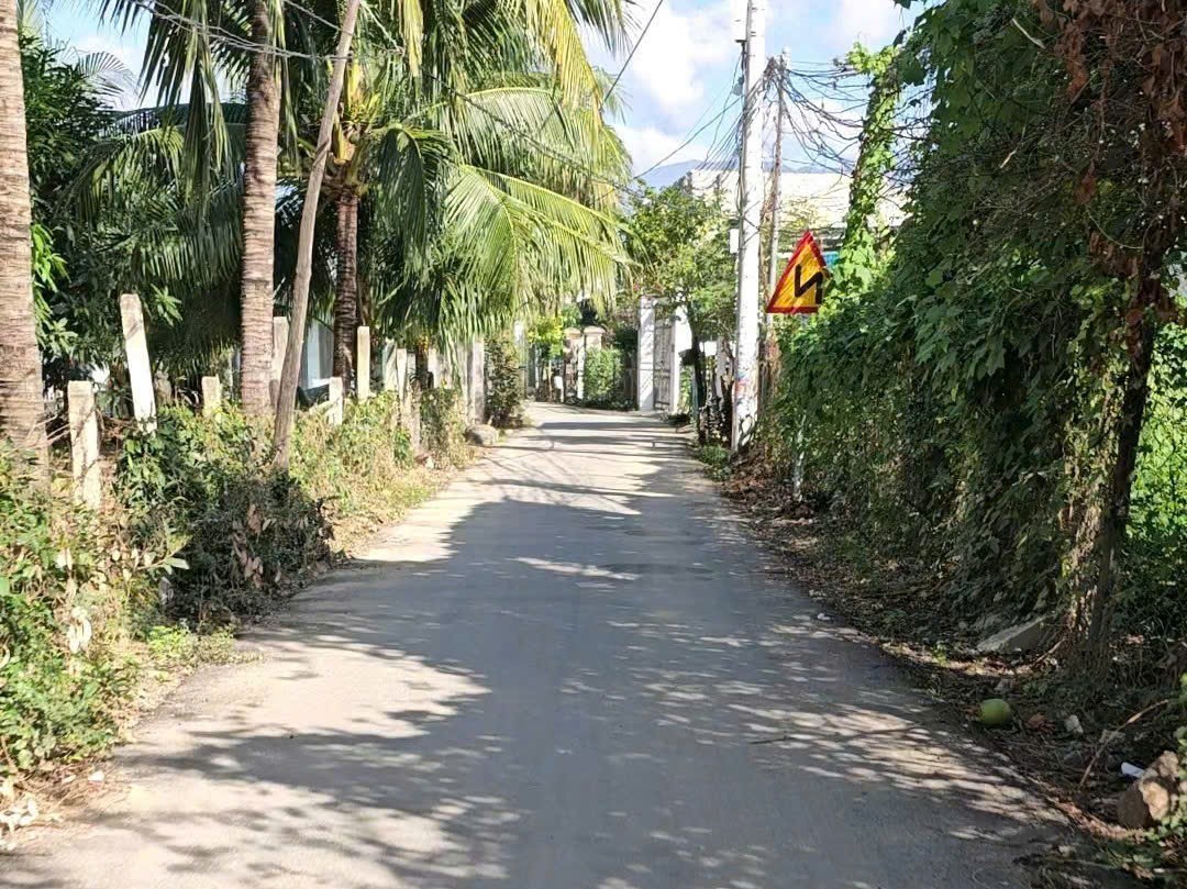 Bán đất Diên Sơn giá rẻ full thổ cư mặt đường Xóm Gò 7 cách chợ chỉ 500m - rộng rãi xây nhà vườn 3