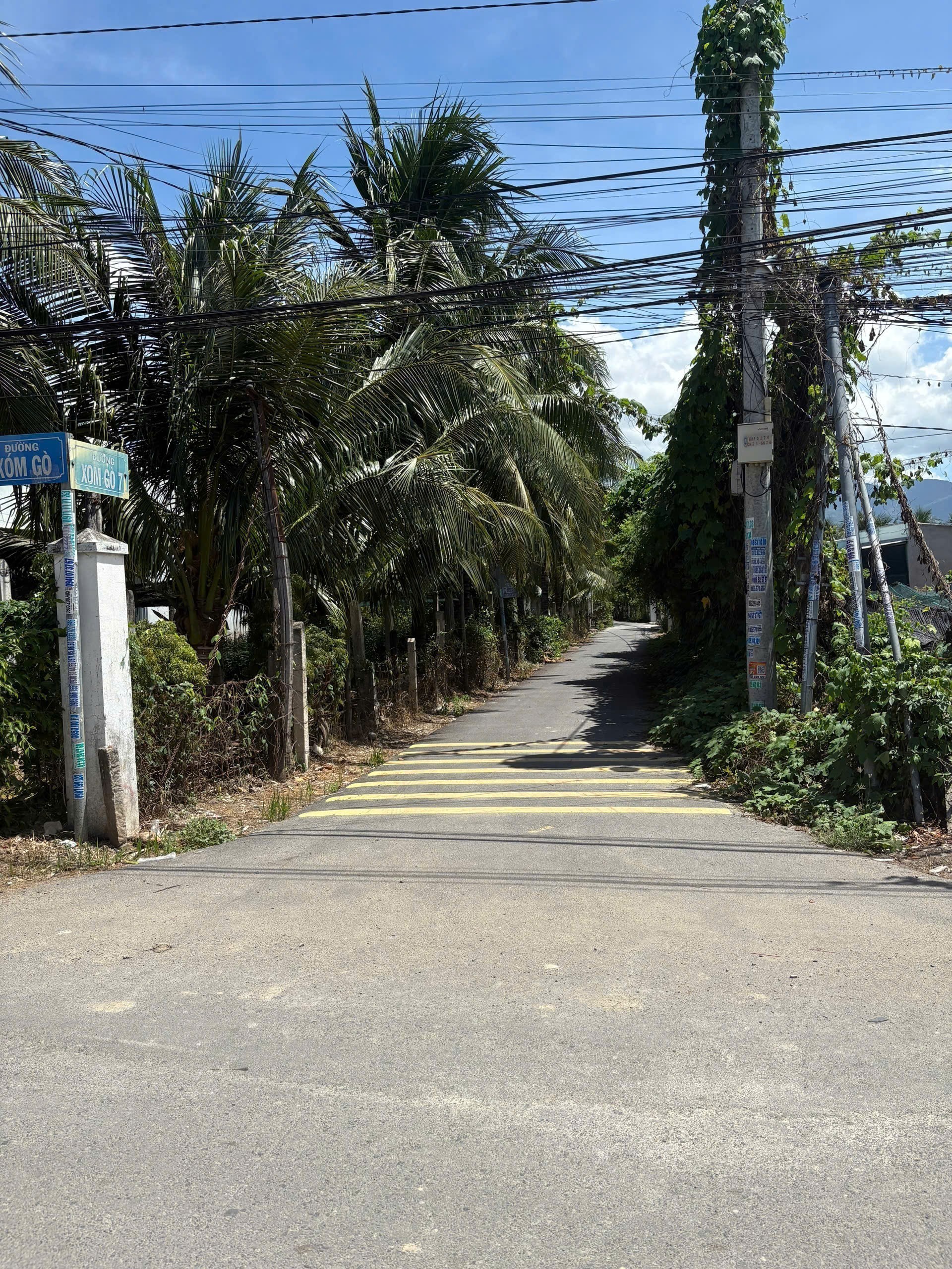 Bán đất Diên Sơn giá rẻ full thổ cư mặt đường Xóm Gò 7 cách chợ chỉ 500m - rộng rãi xây nhà vườn 4