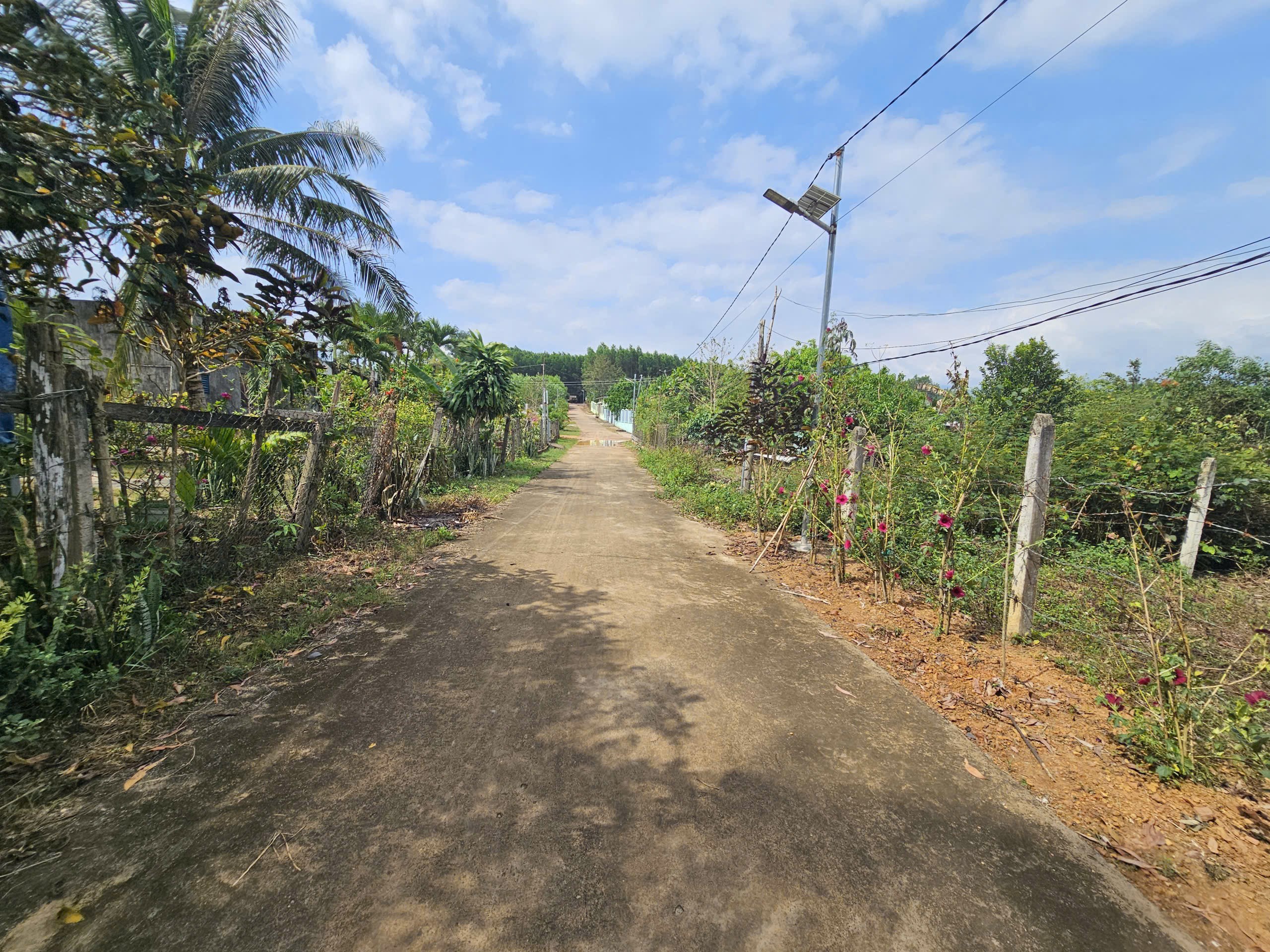 Bán đất Diên Xuân giá rẻ full thổ cư gần cổng chào thôn Xuân Tây - đường rộng 7m 3