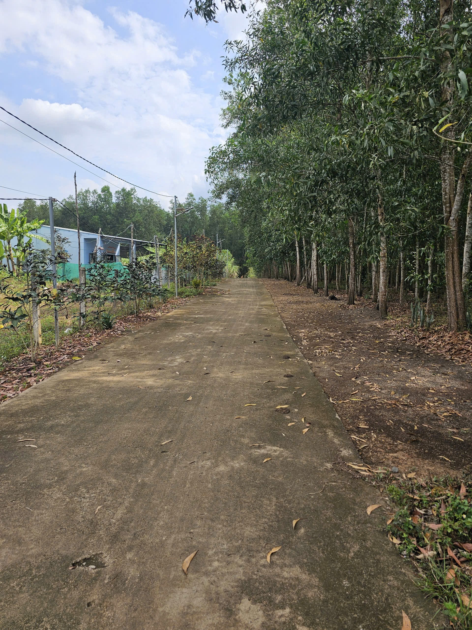 Bán đất Diên Xuân giá rẻ full thổ cư gần cổng chào thôn Xuân Tây - đường rộng 7m 6