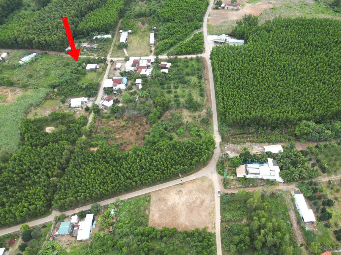 Bán đất Diên Xuân giá rẻ full thổ cư gần cổng chào thôn Xuân Tây - đường rộng 7m 8