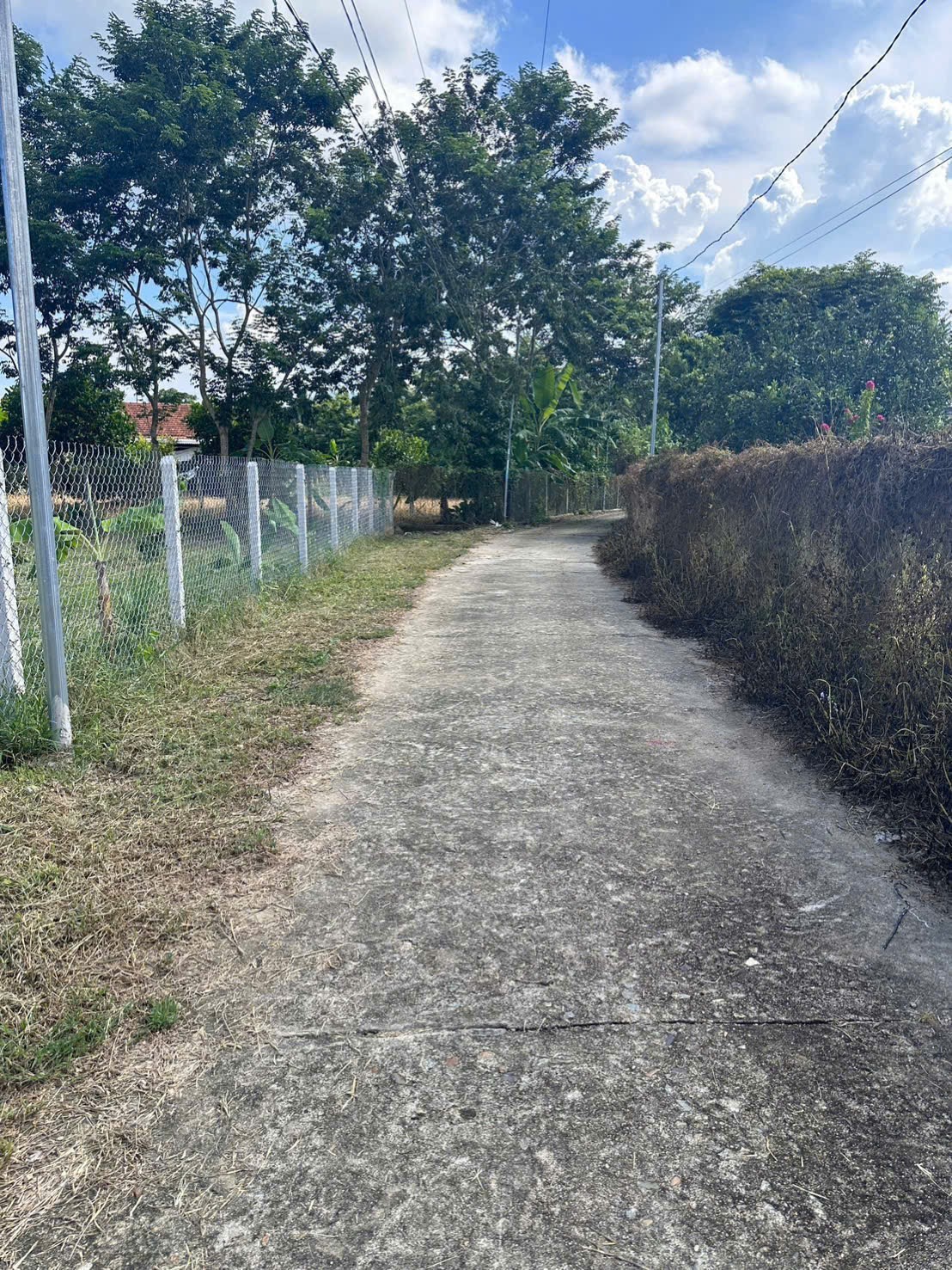 Bán đất Diên Thọ giá rẻ đường thông sát bên Tỉnh Lộ 2 - gần sông Cái mát mẻ quanh năm 6