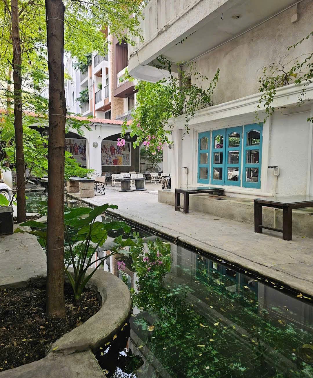 ĐẤT VÀNG 1000m² DƯƠNG QUẢNG HÀM - BIỆT THỰ  3 TẦNG + QUÁN CAFE - 100 TỶ 16