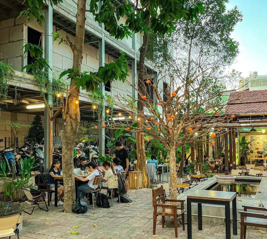 ĐẤT VÀNG 1000m² DƯƠNG QUẢNG HÀM - BIỆT THỰ  3 TẦNG + QUÁN CAFE - 100 TỶ 17