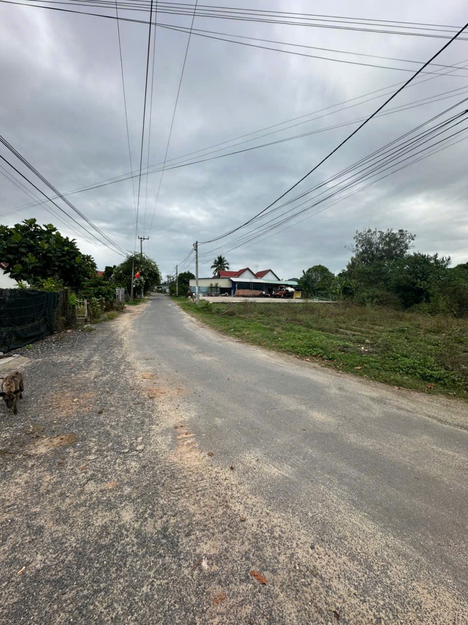 Bán lô góc Bình Lộc mặt tiền đường liên xã phù hợp kinh doanh buôn bán