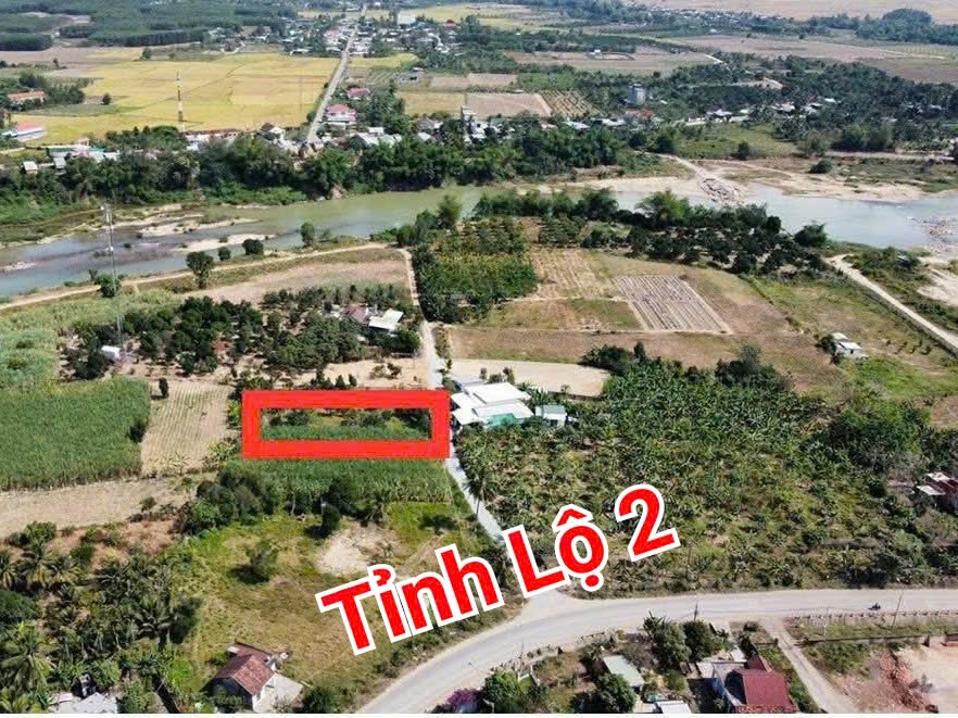 Bán đất Diên Thọ thôn Cẩm Sơn giá rẻ cách Tỉnh Lộ 2 chỉ vài bước chân