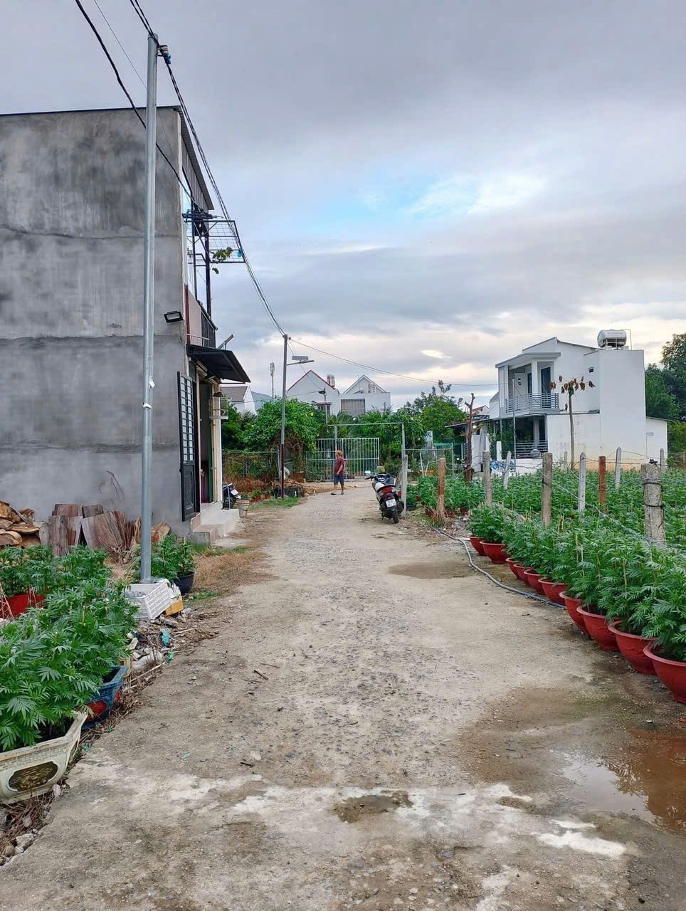 Bán đất Diên Toàn thôn Đông Dinh full thổ cư giá rẻ xung quanh dân cư đông 3