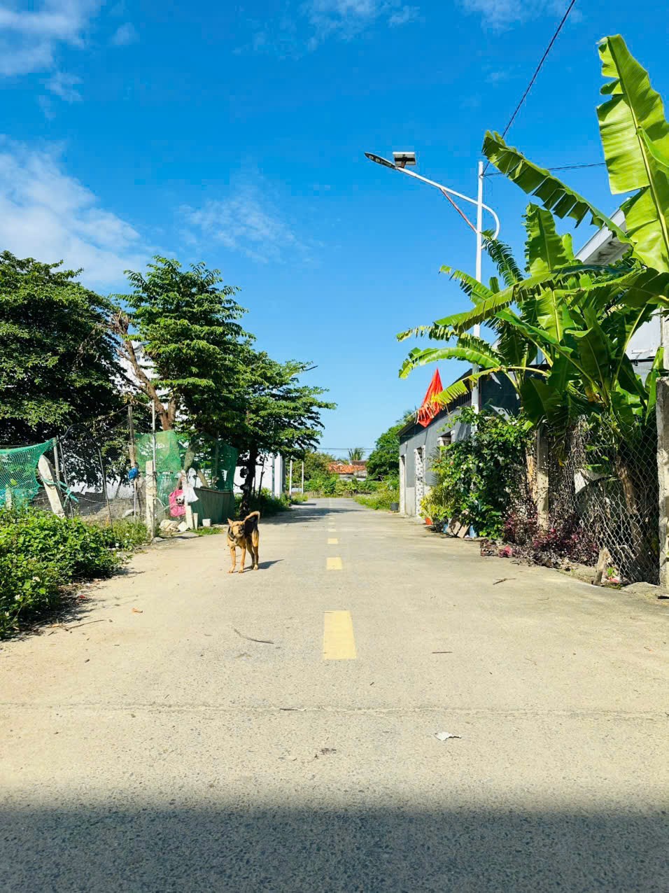 Bán đất Diên An giá rẻ full thổ đường thông - đèn đường chiếu sáng đầy đủ 4