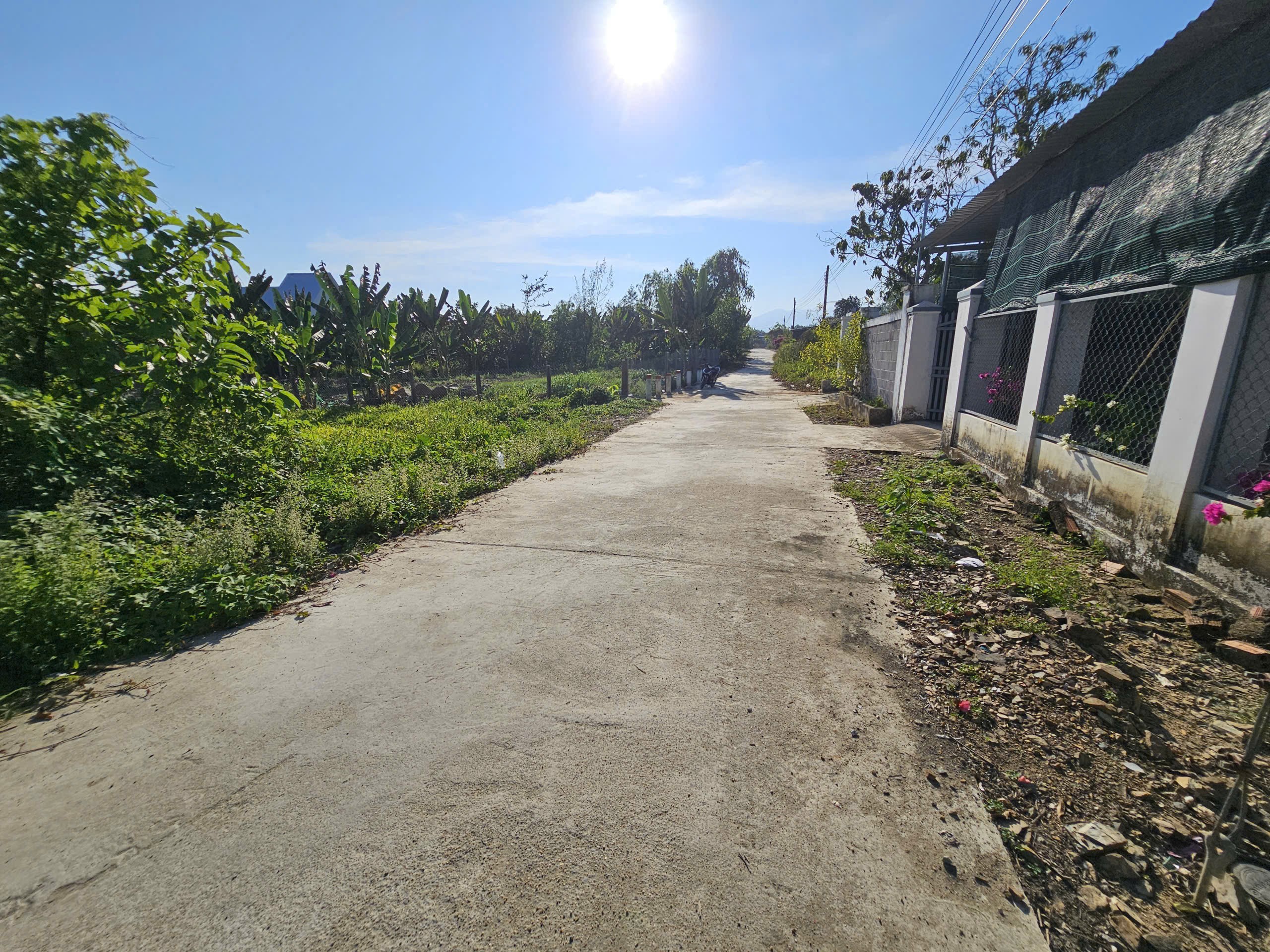 Bán đất Diên Đồng giá rẻ gần cổng chào thôn Đồng Trăn 3 - đường thông dân cư đông 3