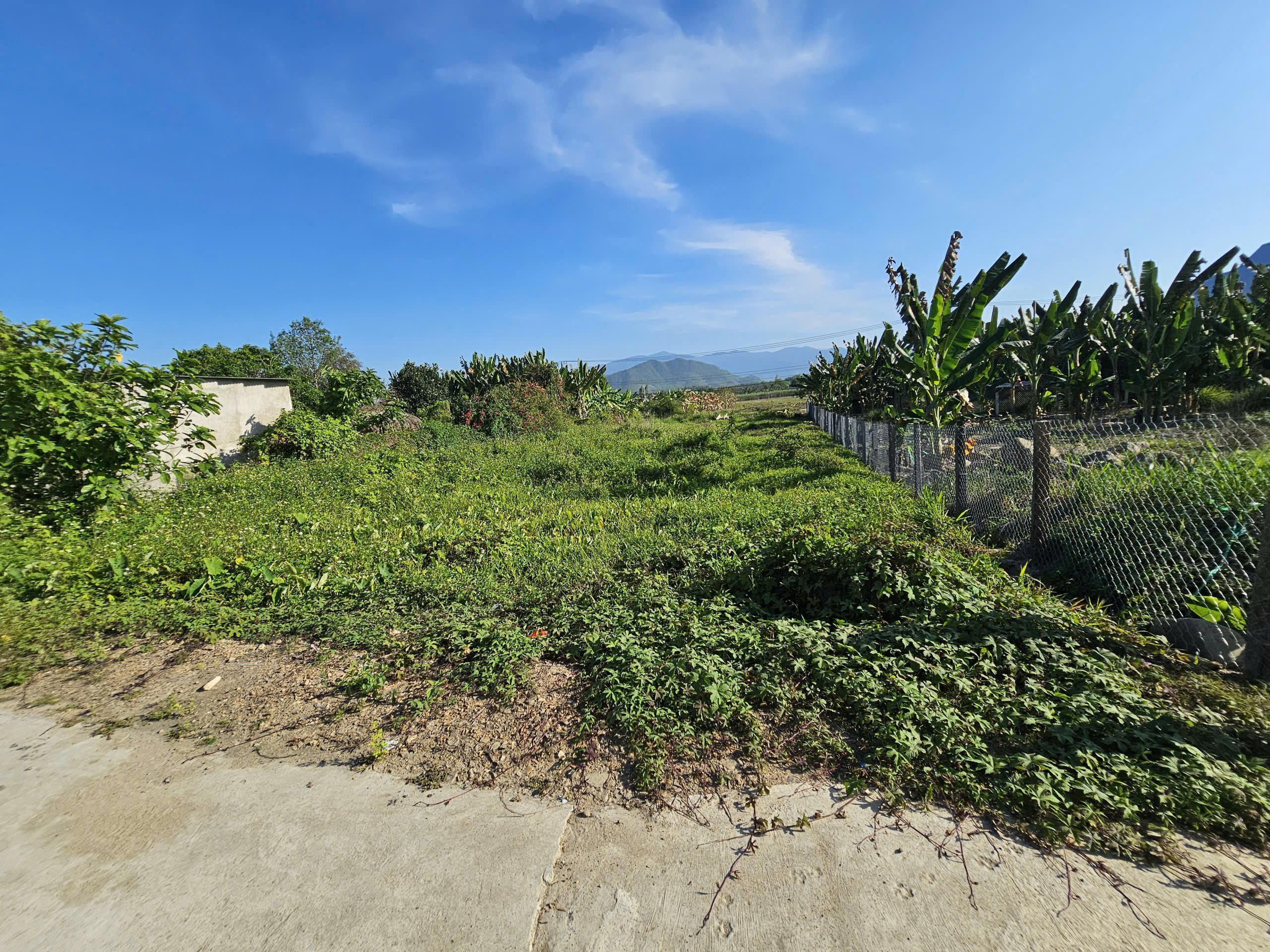 Bán đất Diên Đồng giá rẻ gần cổng chào thôn Đồng Trăn 3 - đường thông dân cư đông 6