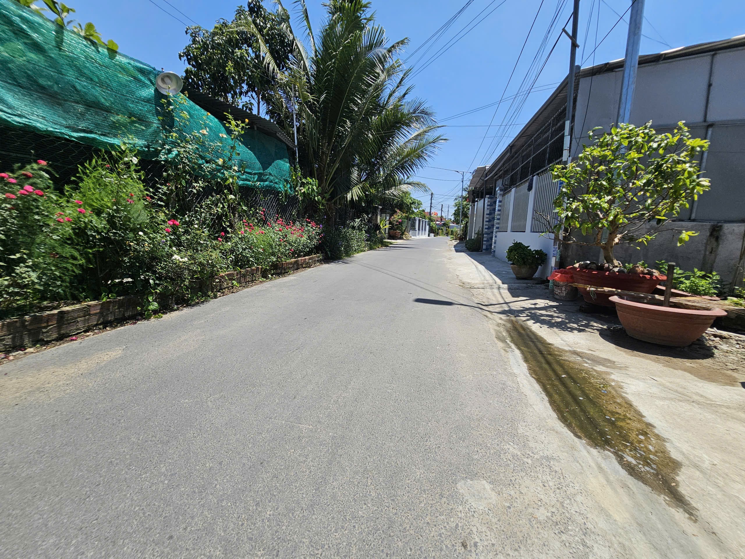 Bán đất Diên Phước mặt đường nhựa thông đường An Định và Tỉnh Lộ 2 -gần bệnh viện tâm thần 4