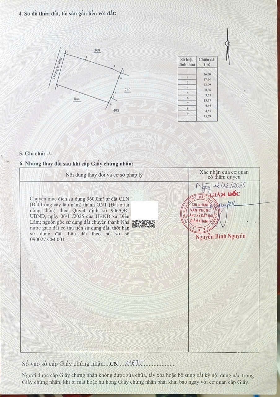 Bán đất Diên Lâm diện tích lớn xây biệt thự vườn - đường thông gần chợ sát bên Hương Lộ 39 12