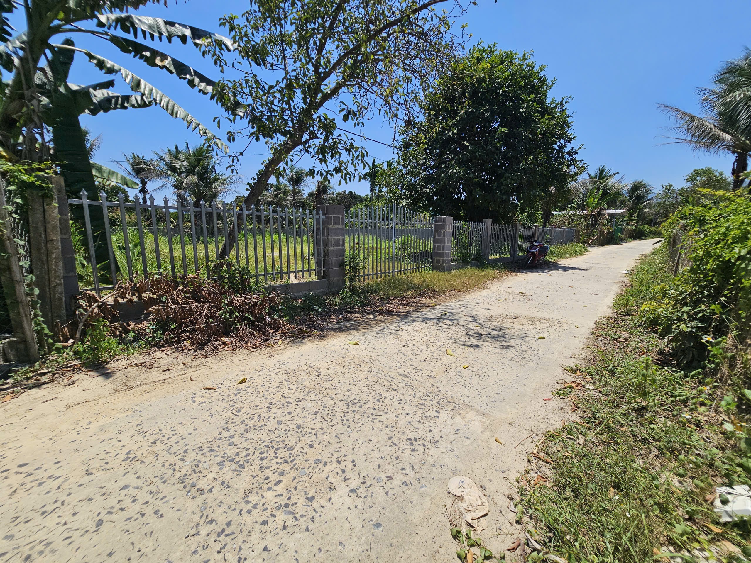 Bán đất Diên Lâm diện tích lớn xây biệt thự vườn - đường thông gần chợ sát bên Hương Lộ 39 4