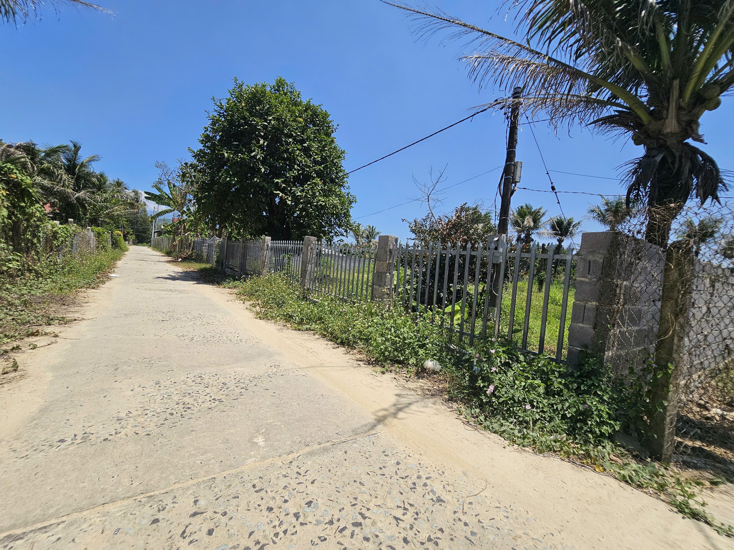 Bán đất Diên Lâm diện tích lớn xây biệt thự vườn - đường thông gần chợ sát bên Hương Lộ 39 5