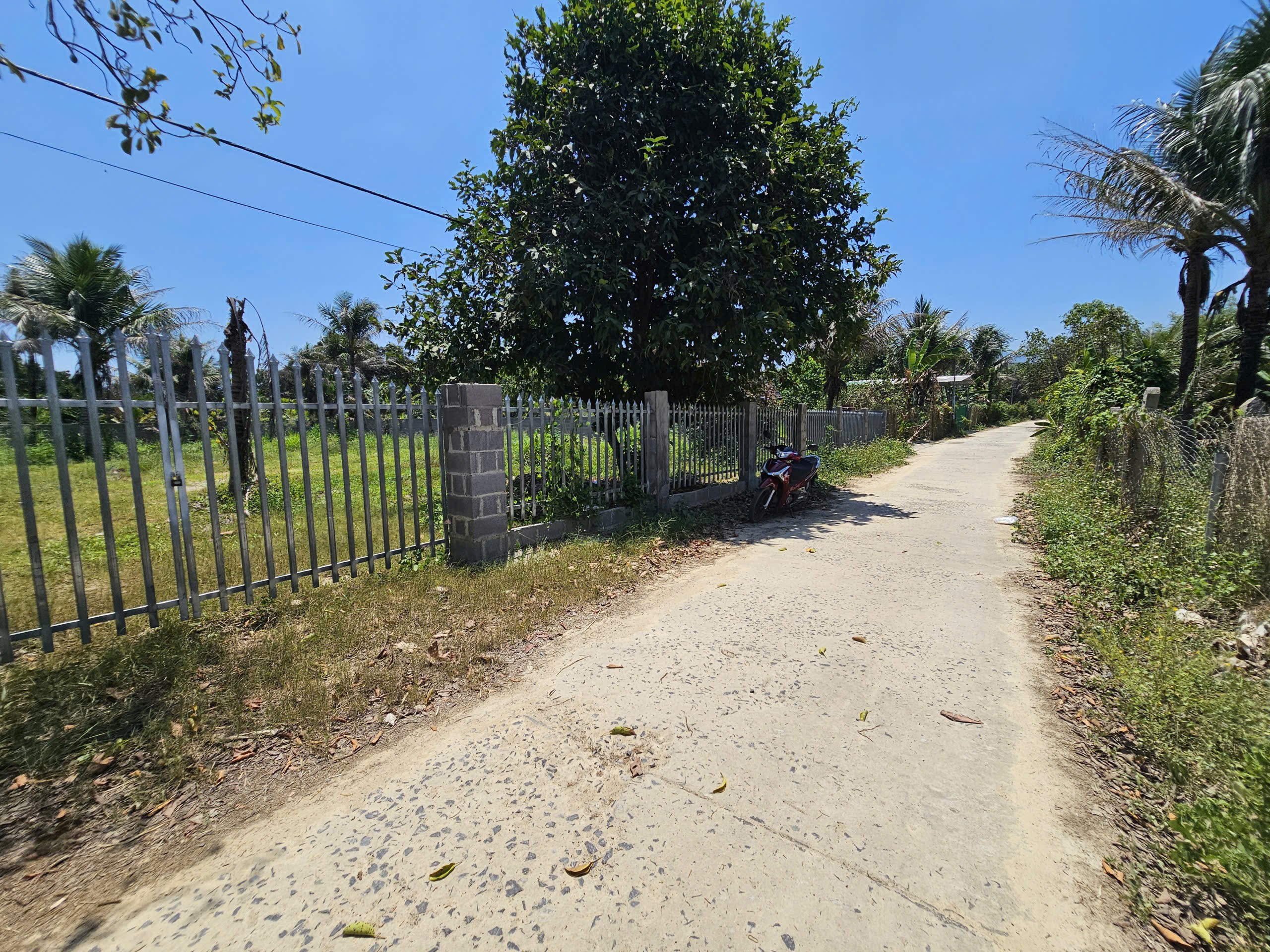 Bán đất Diên Lâm diện tích lớn xây biệt thự vườn - đường thông gần chợ sát bên Hương Lộ 39 6