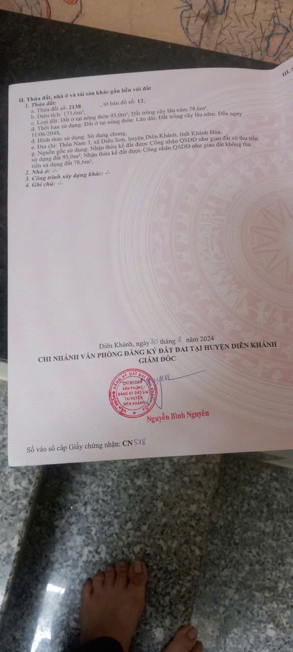 Bán nhà Diên Sơn mới xây rộng rãi ô tô tận nơi hẻm Ấp Tân Sinh - dân cư đông 12