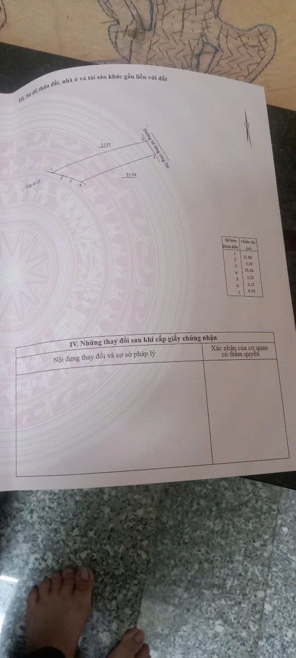 Bán nhà Diên Sơn mới xây rộng rãi ô tô tận nơi hẻm Ấp Tân Sinh - dân cư đông 13