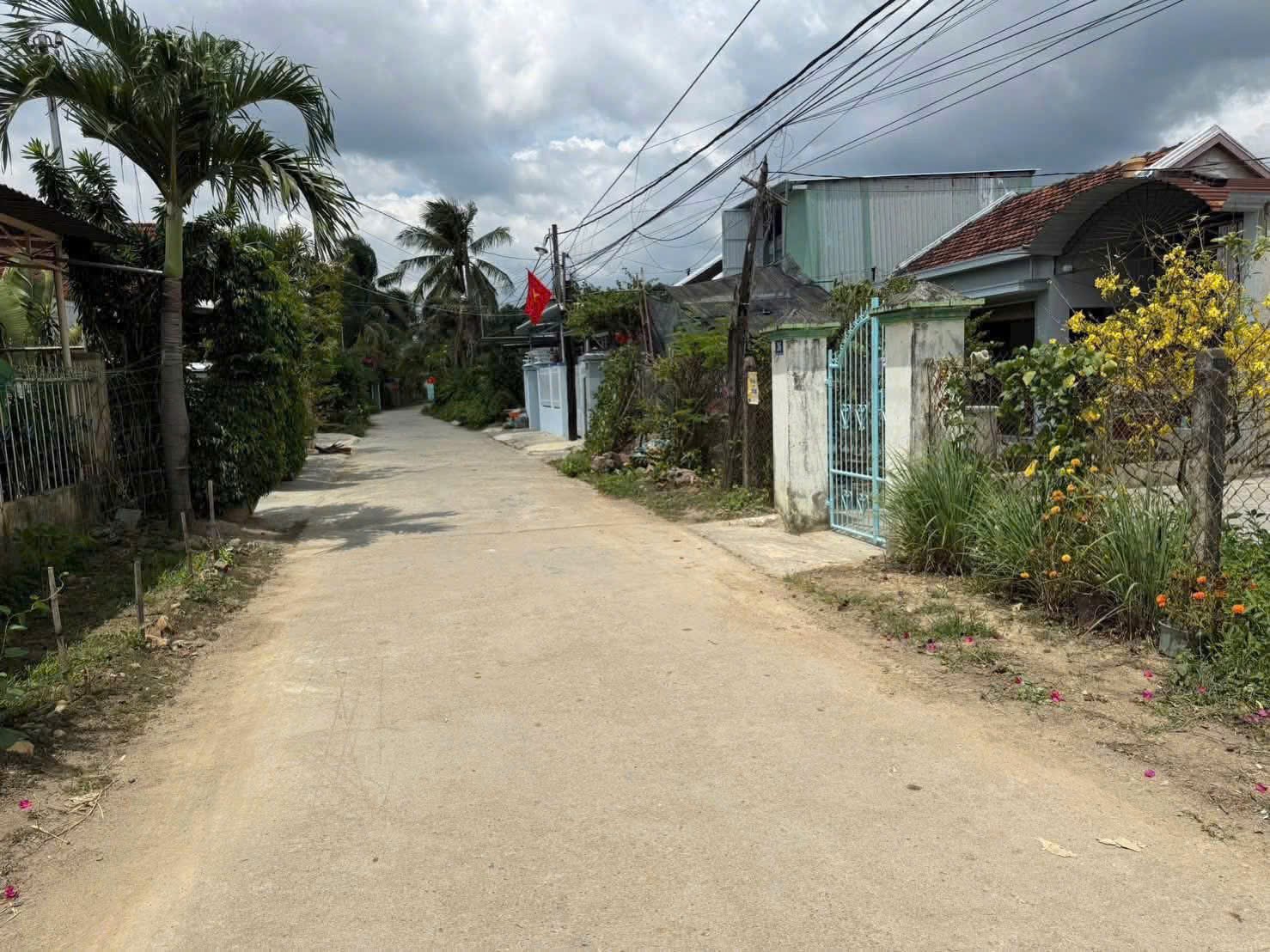 Bán đất Diên Sơn thôn Nam mặt tiền đường Gò Đại - dân cư đông cách chợ 700m 2