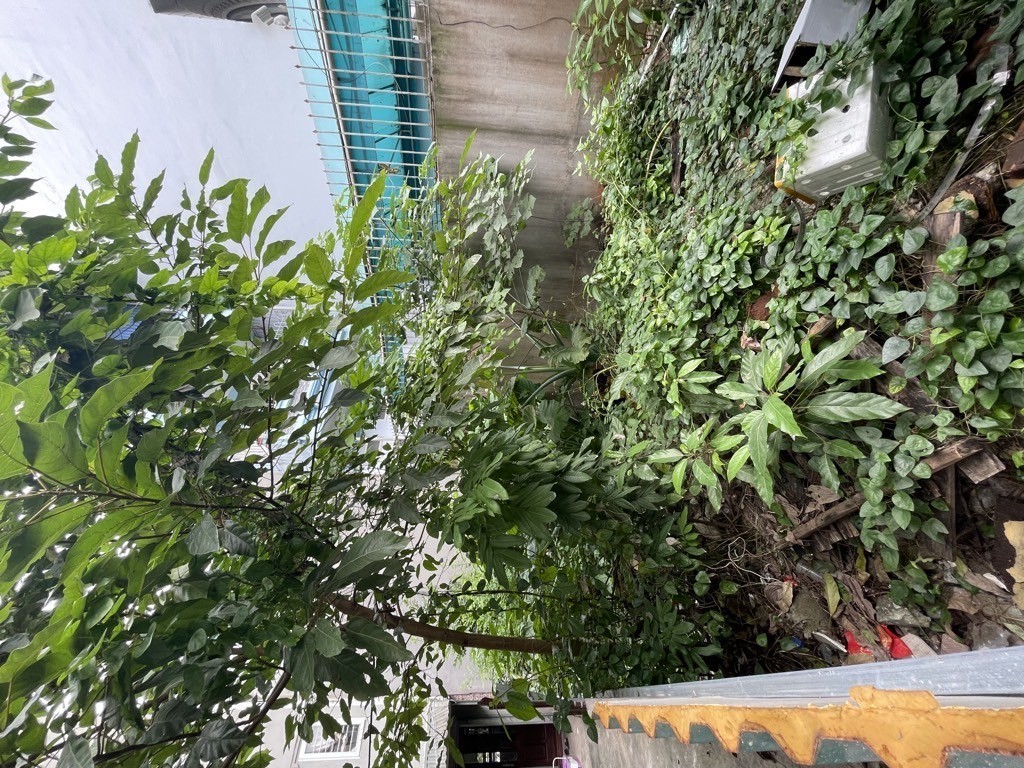 Bán đất mặt ngõ 264 Ngọc Thuỵ 91m oto tránh kinh doanh giá đầu tư 2