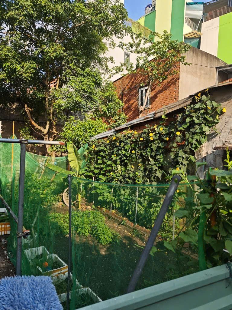 ĐẤT ĐÔNG HÒA DĨ AN NGAY LÀNG ĐẠI HỌC - 74M2 SHR - 3,2 TỶ 3