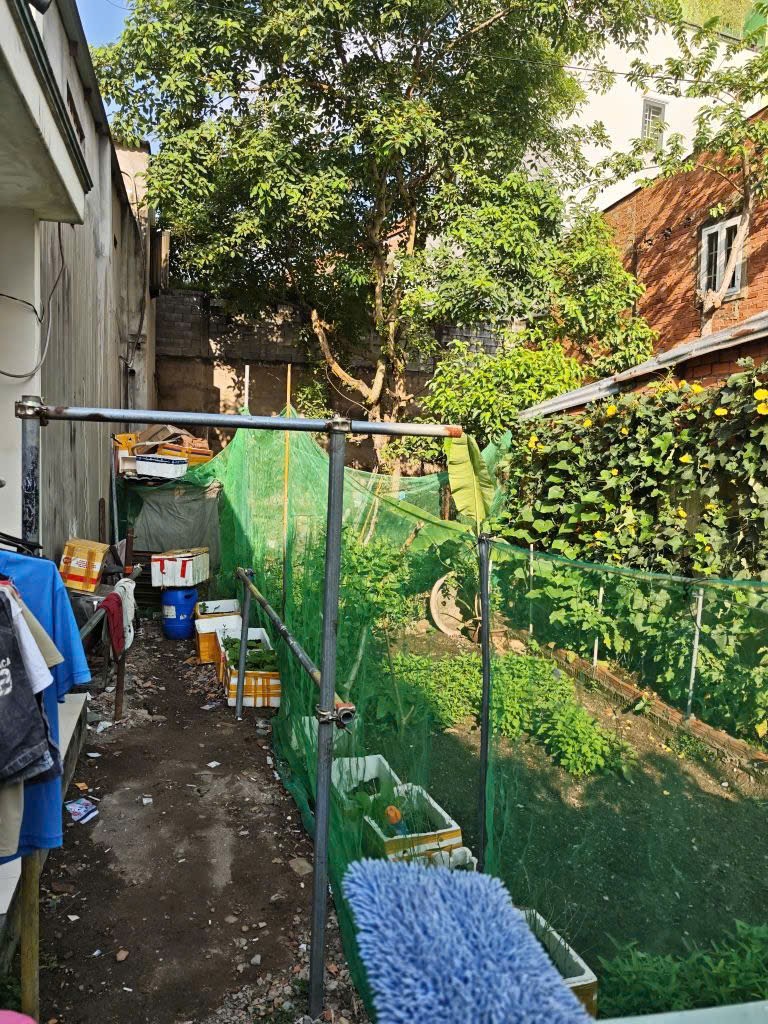 ĐẤT ĐÔNG HÒA DĨ AN NGAY LÀNG ĐẠI HỌC - 74M2 SHR - 3,2 TỶ