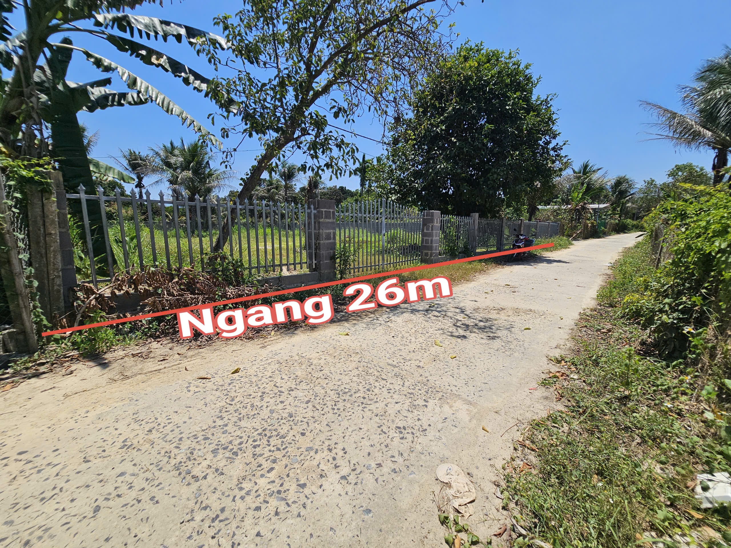 Bán đất Diên Lâm diện tích lớn xây biệt thự vườn - đường thông gần chợ sát bên Hương Lộ 39 8