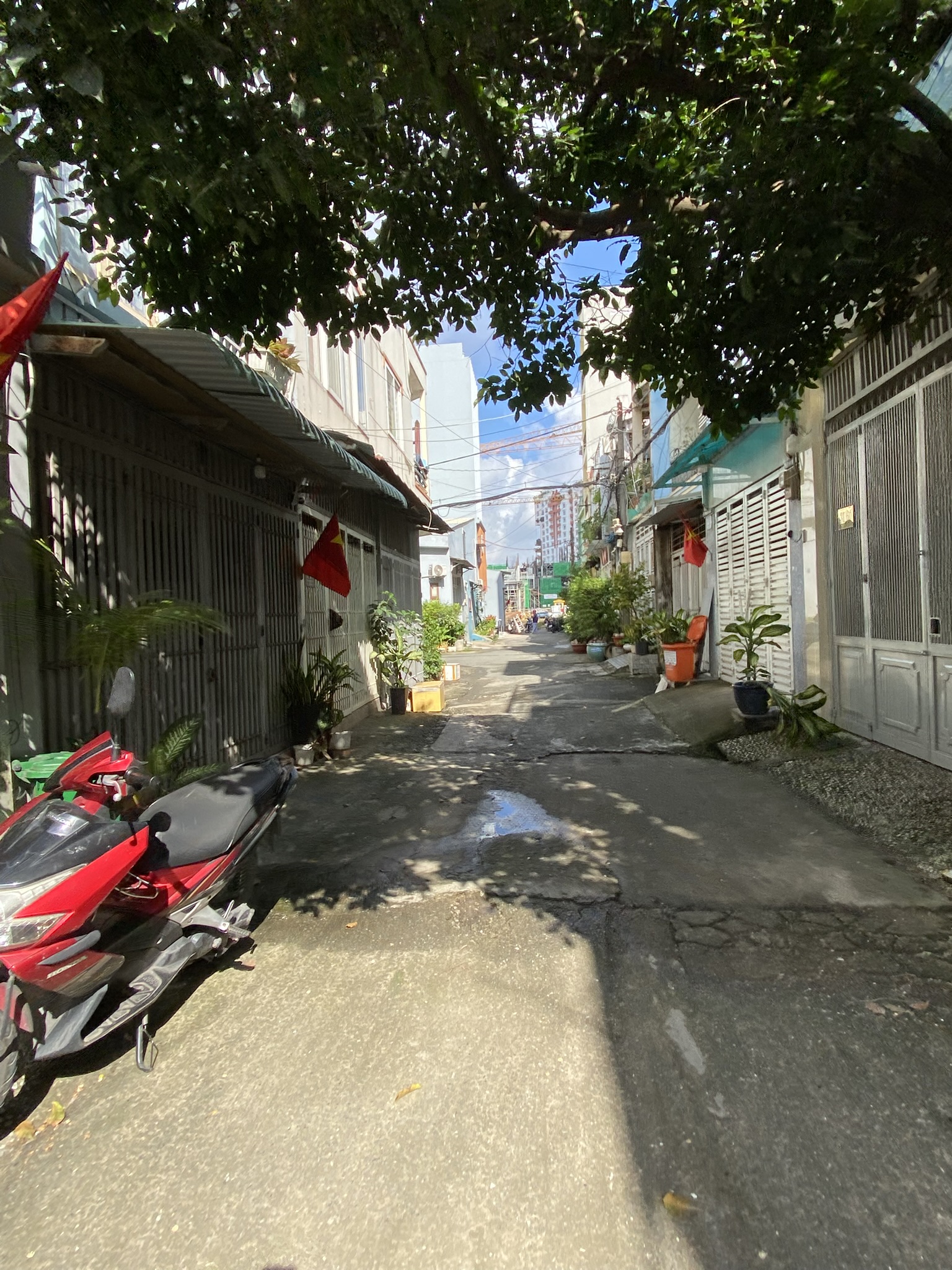 Cần bán Nhà ở, nhà cấp 4, nhà hẻm đường Phan Huy Ích, Phường 15, Diện tích 68m², Giá 8.5 Tỷ