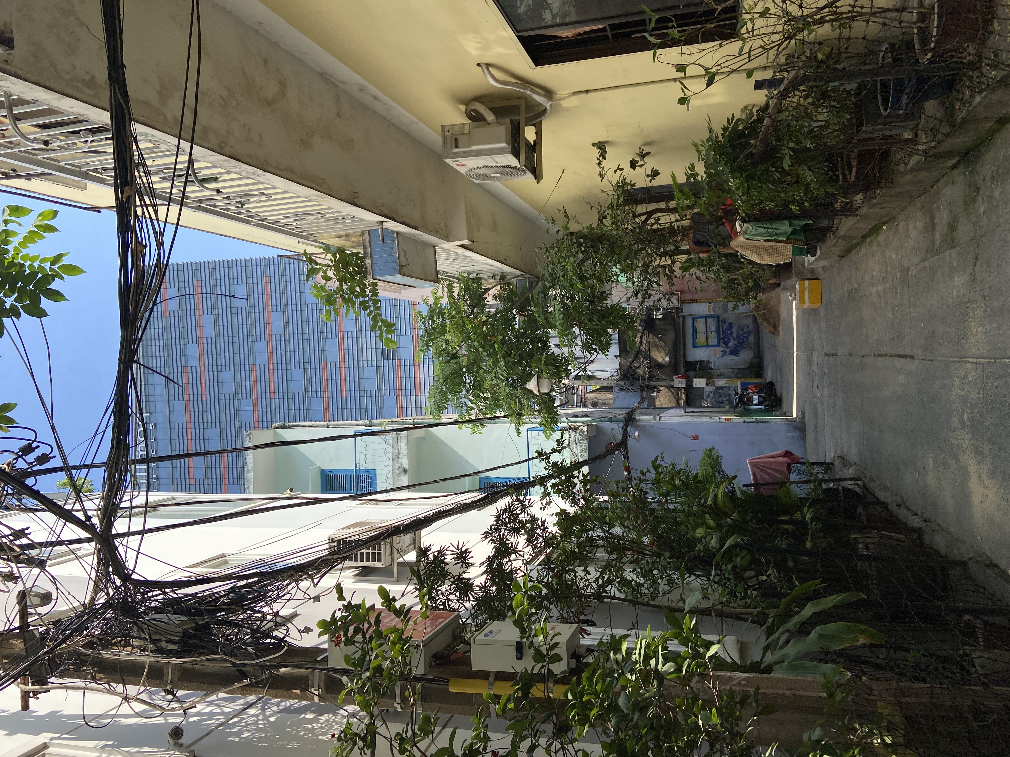 Cần bán Nhà ở, nhà cấp 4, nhà hẻm đường Cống Quỳnh, Phường Phạm Ngũ Lão, Diện tích 53m², Giá 9 Tỷ 2