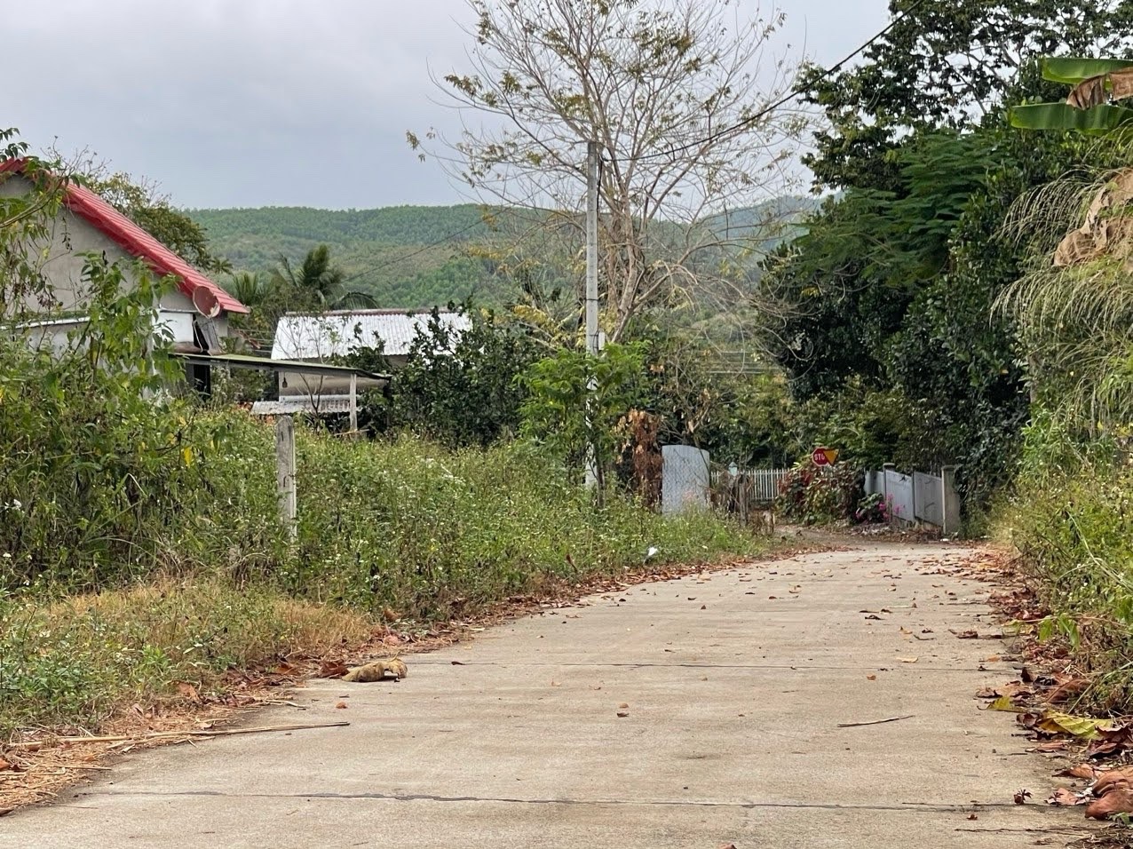 đất mặt tiền lê duẩn khánh vĩnh – tiềm năng đầu tư – 850 triệu 3