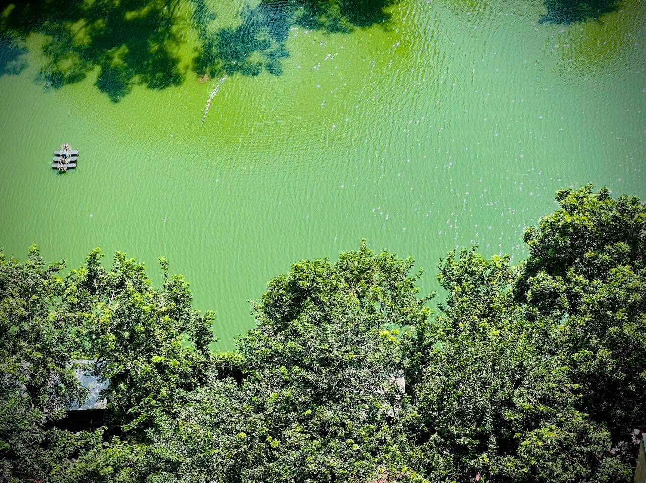 Bán 3PN - 154m2, MULBERRY LANE, BCĐN, full đồ giá 9.4 tỷ 2