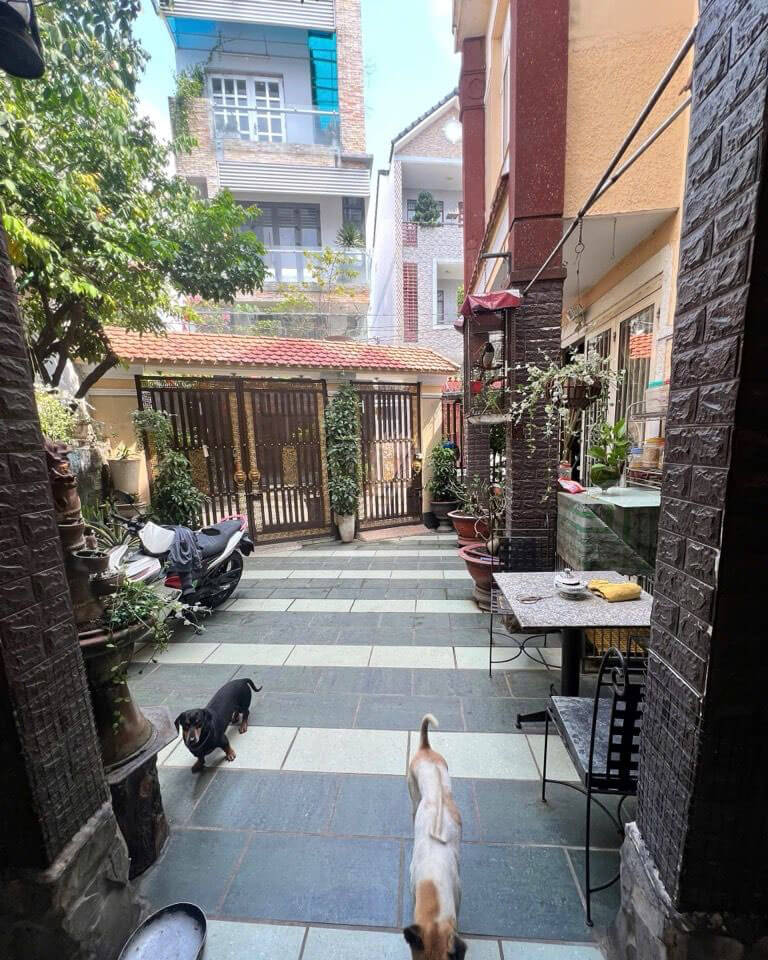 Bán Nhà Phố Nguyễn Văn Quỳ Quận 7 - 134m2 - Ngang 11.3m - HXH - Giá 12.5 Tỷ 3